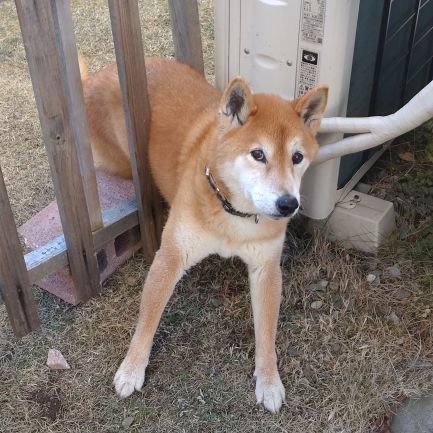 Altria_P_Yamada's profile picture. 元ゲーム垢
今はレイヤー♥リポスト垢
にゃるまー様、ぐりこ様、厶月様は素晴らしい
ラーメンはやめられない