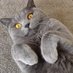 Jennifer Rodriguez (@jennife58584737) Twitter profile photo Jennifer Rodriguez (@jennife58584737) Twitter profile photo