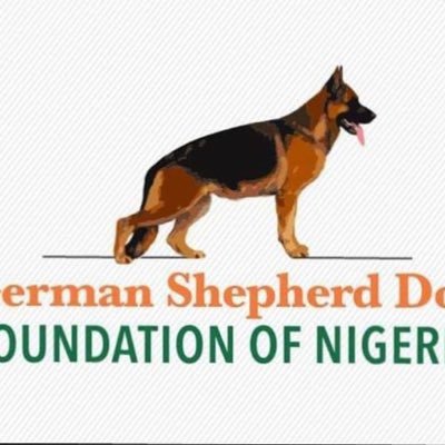 the official twitter(X) handle of the German Shepherd Dog Foundation of Nigeria(GSDFN)