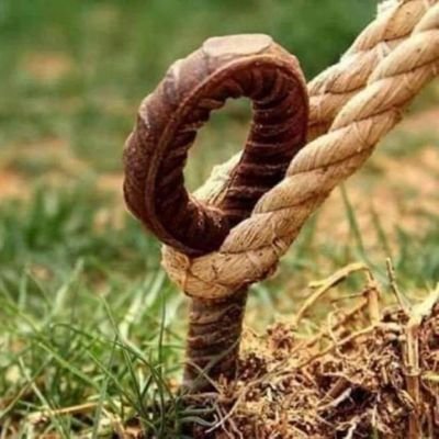 Khalifa_AlRisi's profile picture. 