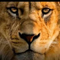 oluwajuwonsamuel63 (@caffy_natty) 's Twitter Profile