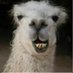 Ronald Smith (@ronaldsmit64005) Twitter profile photo Ronald Smith (@ronaldsmit64005) Twitter profile photo