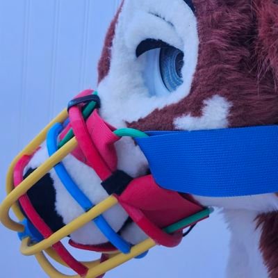 LetsObeyBaby's profile picture. (Comms closed as I catch up)
‼️🔞‼️|Ran by @LanierTheFawn|I make the kind of stuff banned from the playground|