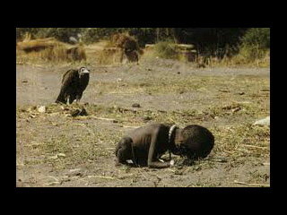 RheaA420's profile picture. ★Girl 29 Vegan,Libra,Revolutionary,Anti-Zionist  FREE PALESTINE FREE IRELAND @ImmortalTech follows♥ErnestoCheGuevara wheres Lowkeymusic1? R(LOVE)UTION ★