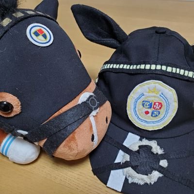 nekome1136's profile picture. 推し騎手とお馬のメンコが可愛いかどうかで馬券買ってる人です
ウマ帽子を作って子供にかぶらせてニヤニヤしてます🧢
新馬戦が大好物です！