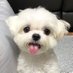 pado.. (@wave2hoon) Twitter profile photo pado.. (@wave2hoon) Twitter profile photo