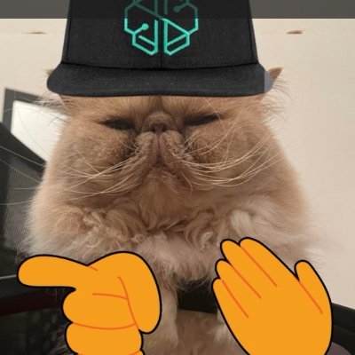 💚 @SwissBorg supporter
💎I believe in #Swissborg team and project
@Kurz_Borger 's cat
#WeAreSwissBorg $BORG
