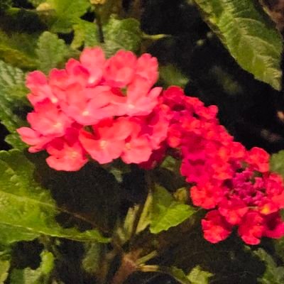 hrh1513474970's profile picture. 菜鸟涂装师 慢慢进步！
来自中国 不太会使用twitter请您谅解❤️
谢谢您喜欢