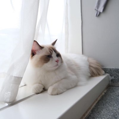 avietcha's profile picture. 97 baby