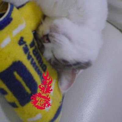 emi (@emiarita) / Posts / X