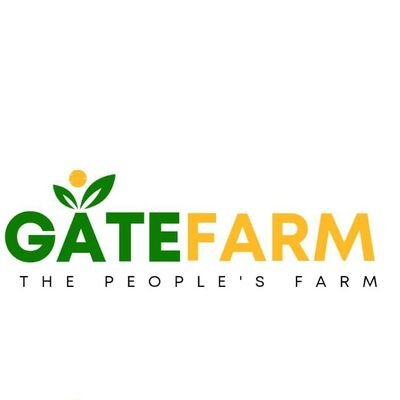 we produce the Best and fresh vegetables in Namibia.
||Agriculture ||Namibia||

sales@gate.com.na
0816028855  ||  0813936709
GATE FARM
