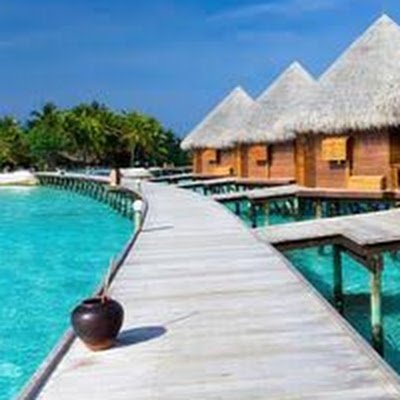 Cryptogeek, Blockchain supporter, digipreneur,affiliatemarketer, degens