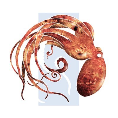 onlineedu123's profile picture. Launch a network in minutes → hunting @LifeFormsNFT @xyberinc @CNPYNetwork

irys-verify-0xfc09f6-onlineedu123