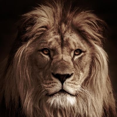 YaronMuserh's profile picture. Husband/Arsenal Fan/Real Madrid Fan. Billionaire💶💷 in the Making 💵💴