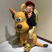 吉岡裕也(ダンボ) (@yuuya8558) 's Twitter Profile