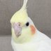 あい (@biyjg4yqkh37651) Twitter profile photo あい (@biyjg4yqkh37651) Twitter profile photo