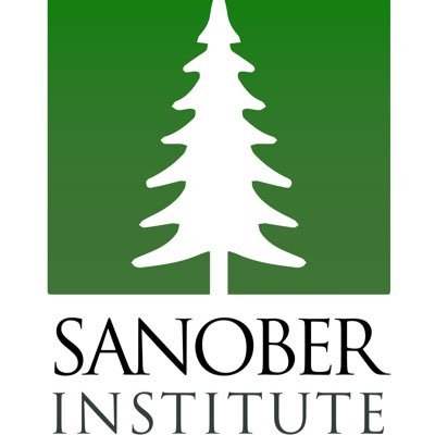 sanoberInsti's profile picture. Creative Ideas - Innovative Solutions