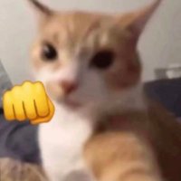 Moral (@moralitycomplex) 's Twitter Profile