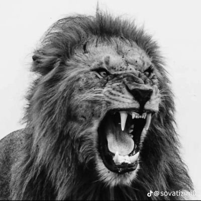 Amiiiir2026's profile picture. 