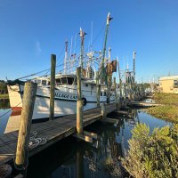 South Carolina Shrimpers Association (@scshrimpers) 's Twitter Profile Photo South Carolina Shrimpers Association (@scshrimpers) 's Twitter Profile Photo