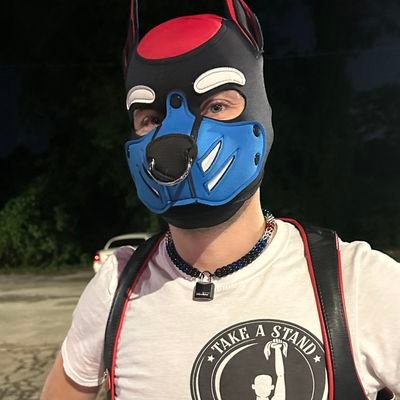 @bluebeaglepup