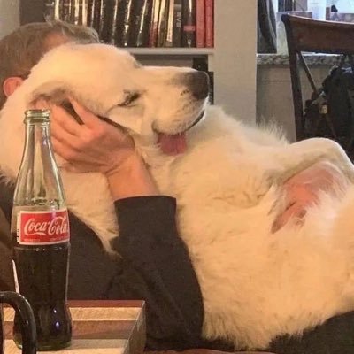 HotchLuo47's profile picture. 