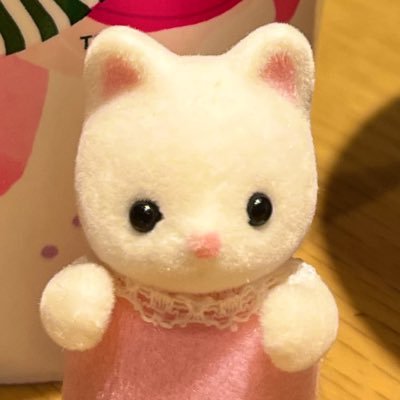 温やさい♨️さんのプロフィール画像