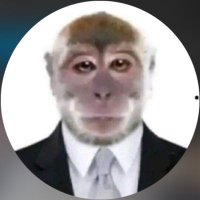 memes pra qm n aguenta mais viver (@xitipostinutil) 's Twitter Profile