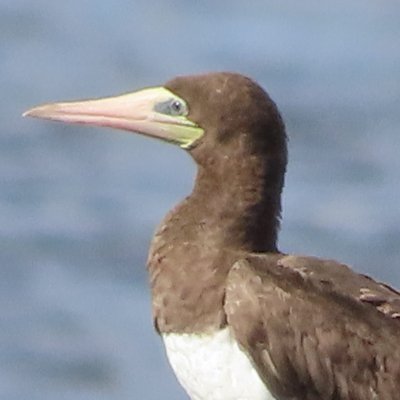 Binnie_Smith's profile picture. 