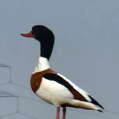 Footpath47 Profile