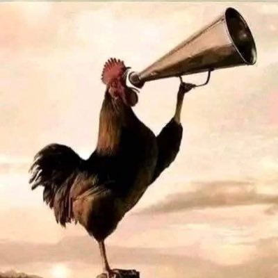 parodyWordbank's profile picture. 