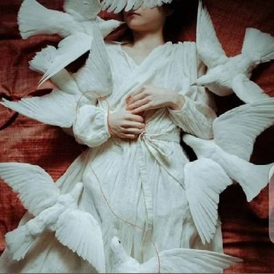 collection of paradoxes!/🕊️ 🤍
éverything is illusion/Med-school = bs chal rha❤️🩹
the healer🫀🩺