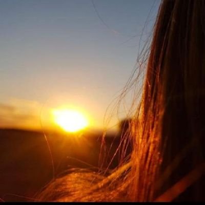 Tashfeen456's profile picture. 