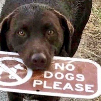 Michael63752231's profile picture. 