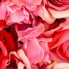 nnfflytr's profile picture. سنرحل ويبقى الاثر