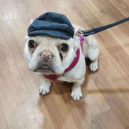 Occasional ⚽️ writer. Wirral resident. Dog lover 🐶 Adidas casual / Trab obssessive. Former DJ & vinyl nut. Junglist.
IG: the_mancunian_candidate1996