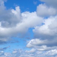 🌈LiNkS-gRüN_vErSifFtEr_GuTmEnScH (@grummeligezecke) 's Twitter Profile