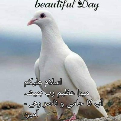 Maya751911's profile picture. 