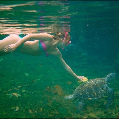 RoseStarCrusher's profile picture. Living in the shelter of angels. 
I am not this female body.
I am the pilot.
Sex and language matter.
There are no good fanatics. 
#FemmeVieLiberté