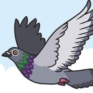 ZippyPidge's profile picture. 🐦