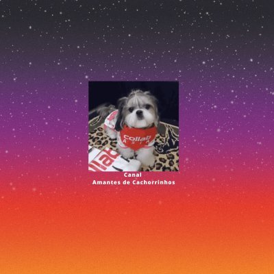 Bem-vindo ao Canal Amantes de Cachorrinhos! 🐾
Somos apaixonados por cães e estamos aqui para compartilhar com vocês histórias emocionantes!
