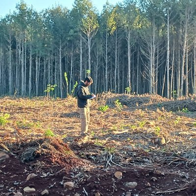 Periodista. https://t.co/RRx4khCxn3 - Autor de Argentina Originaria y Tierra Arrasada. Coautor de 