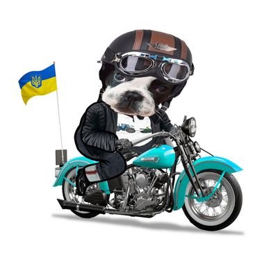 Dutchie 🇳🇱 in awe of the bravery of the ppl of 🇺🇦 | Героям Слава | Разом до Перемоги | #russiaisaterroriststate | #NAFO |