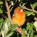 Born2Bird (@leturkbirder) Twitter profile photo Born2Bird (@leturkbirder) Twitter profile photo