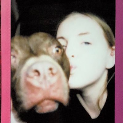 caitlinsesko's profile picture. I have no idea what I’m doing.