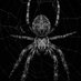Nightmare ✳️🕸️🗞️✴️ (@immuneeas) Twitter profile photo Nightmare ✳️🕸️🗞️✴️ (@immuneeas) Twitter profile photo