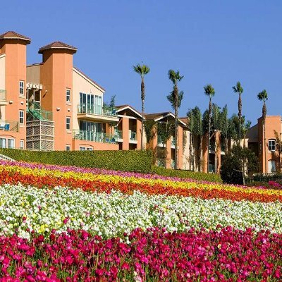 World-class destination offering magnificent views of the Pacific Ocean and @TheFlowerFields, featuring a convenient pedestrian entrance to @LEGOLAND_CA.