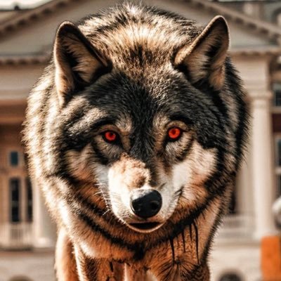 wolfpackfan04 Profile Picture