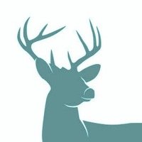 cotaro (@lets_cocococo) 's Twitter Profile