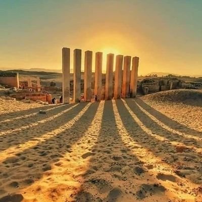 Brilliant7799's profile picture. وإسلاماه